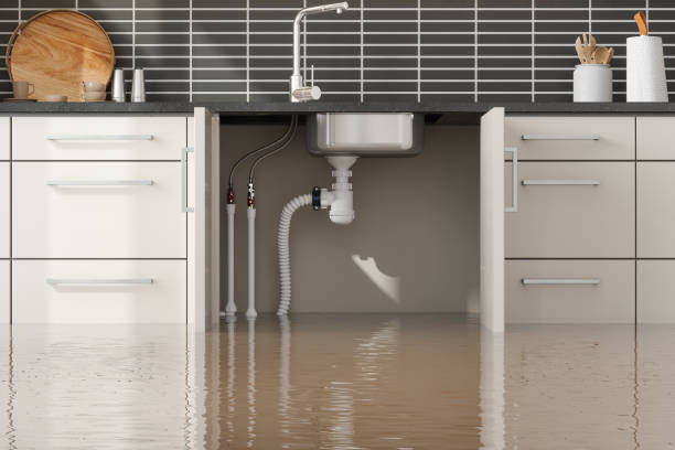 Trusted Water Damage Restoration in Sidney, IL | Fast, Reliable, and Ready to Assist You